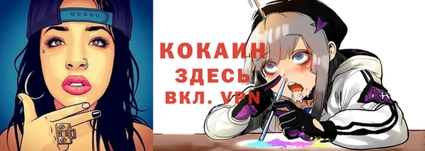дурь Вяземский