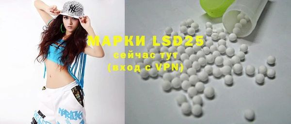 PSILOCYBIN Горнозаводск