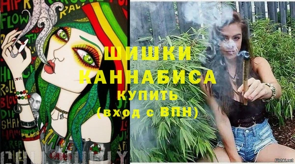 дурь Вяземский