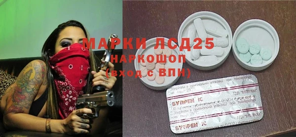 PSILOCYBIN Горнозаводск