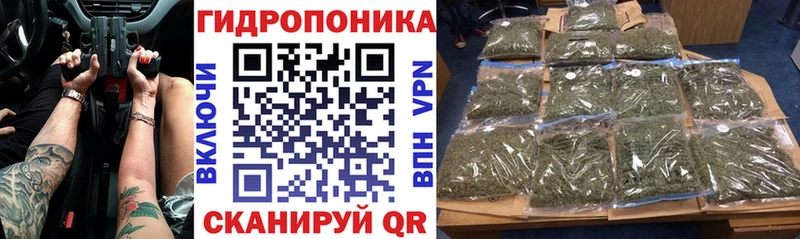 где продают наркотики  Зверево  Бошки марихуана семена 